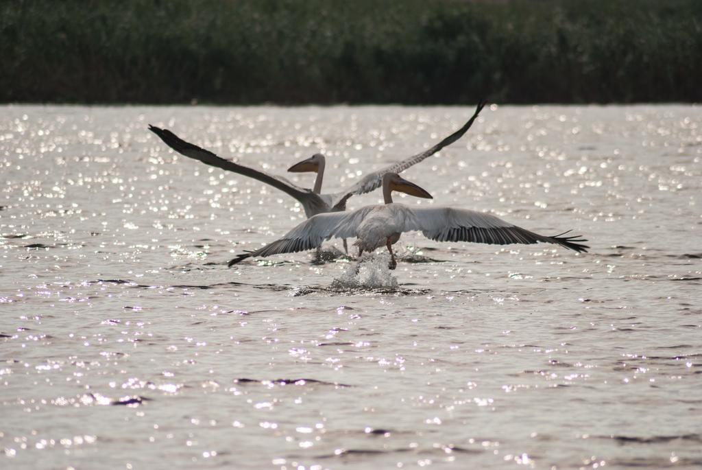 Station touristique Delta Nature 4*
